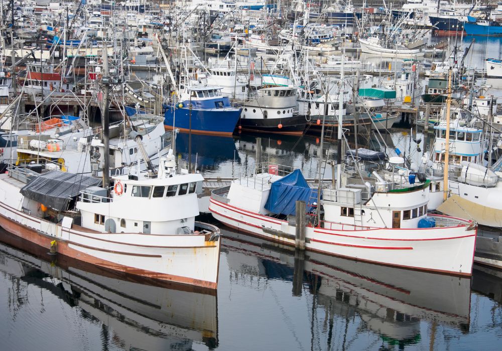 Navigating Commercial Vessel Insurance Claims